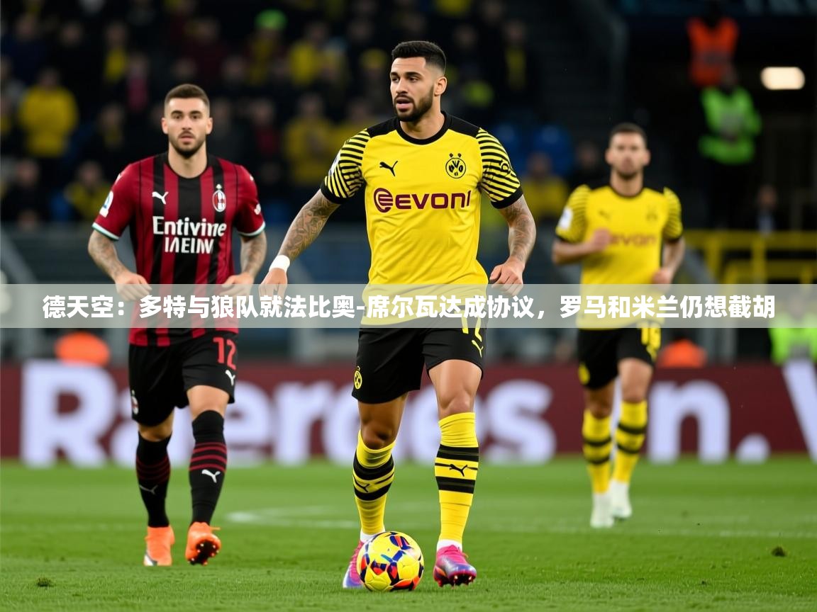 2025德天空:多特与狼队就法比奥-席尔瓦达成协议,罗马和米兰仍想截胡 第2张