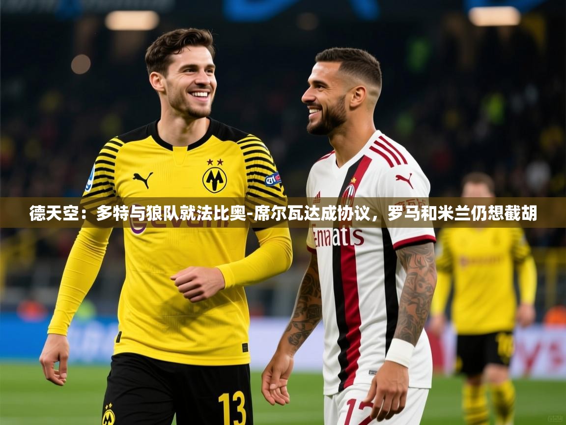 2025德天空:多特与狼队就法比奥-席尔瓦达成协议,罗马和米兰仍想截胡 第3张