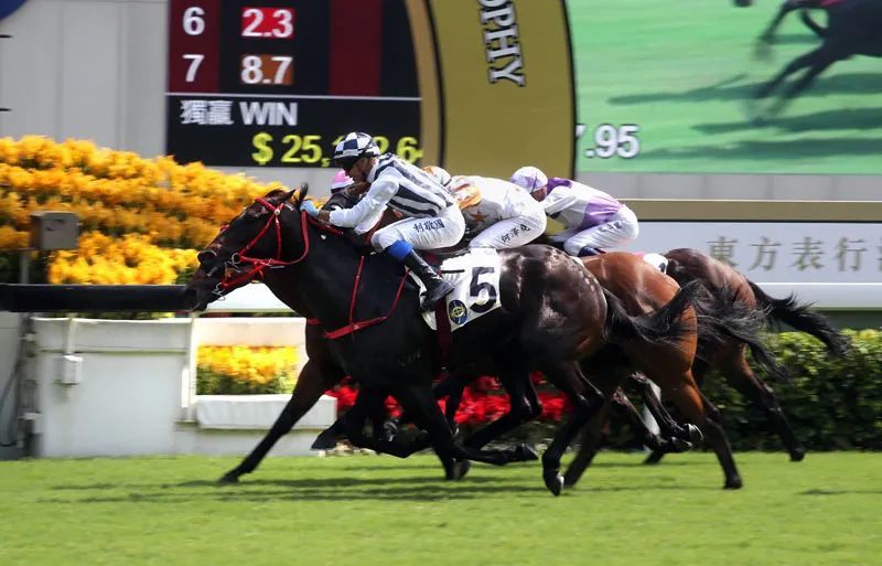 澳客彩票网首页电脑版官网-历史对决再度上演，双方均有能力夺冠